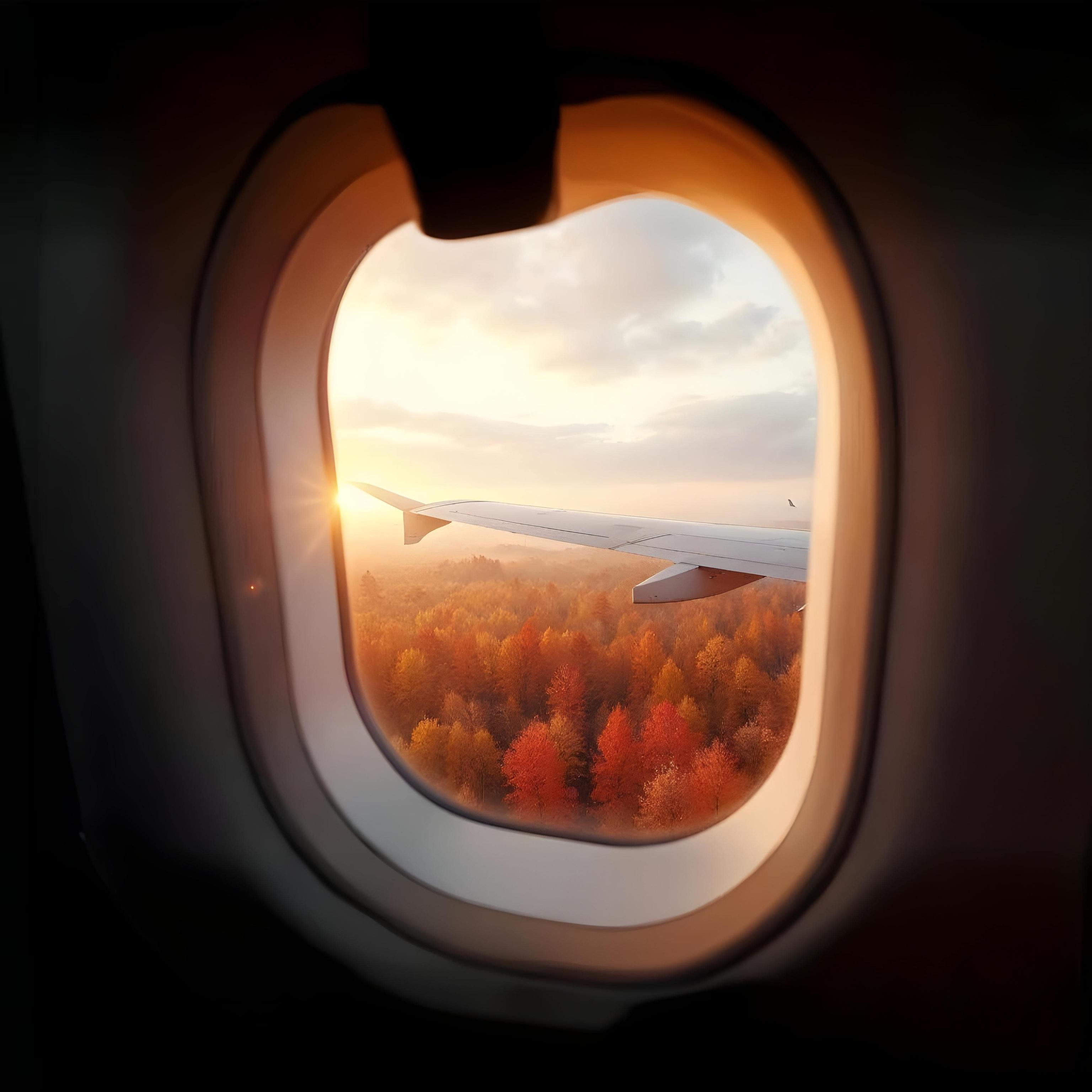 TRAVEL INSURANCE image