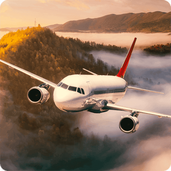 Step flightishop.png image